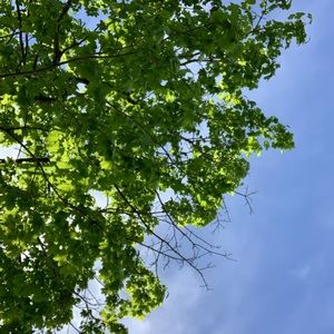 Meet your Posher, Kory